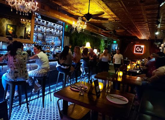 florida/miami/coral-gables/nightclub/copper-29-bar