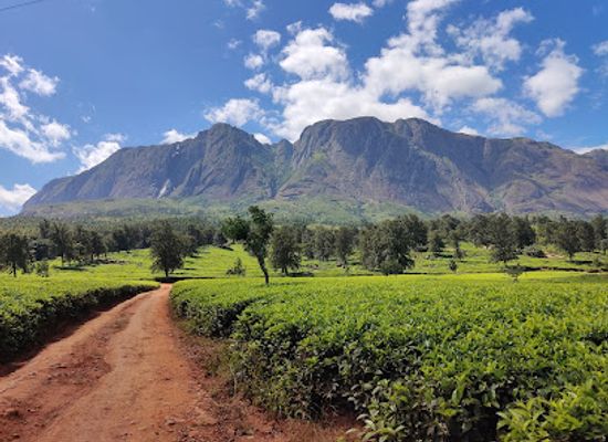 malawi/mulanje-mountain/nightclub/mulanje-mountain