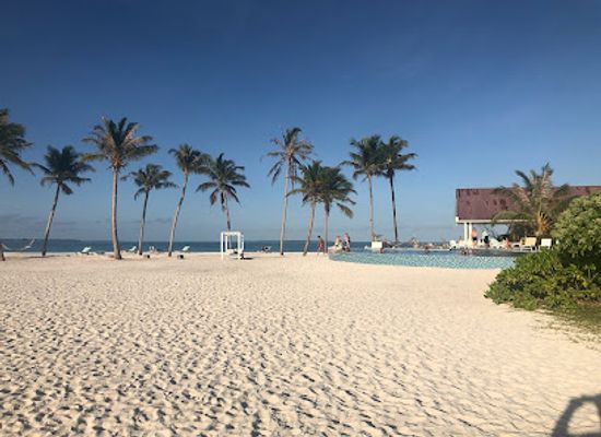 maldives/thaa-atoll/nightclub/thila-bar