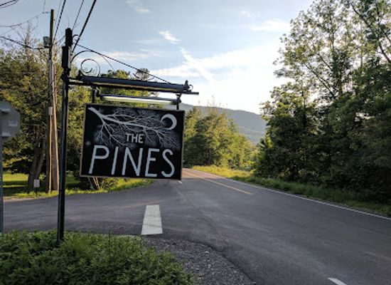 new-york/catskill-mountains/nightclub/the-pines