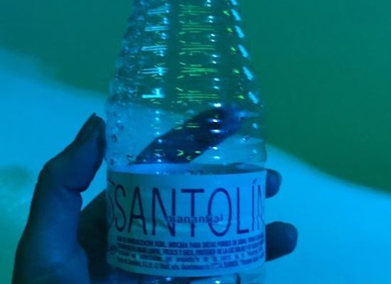 spain/valladolid/nightclub/sauvage