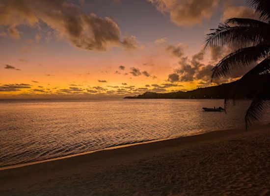 french-polynesia/leeward-islands/nightclub/bora-bora-beach-club