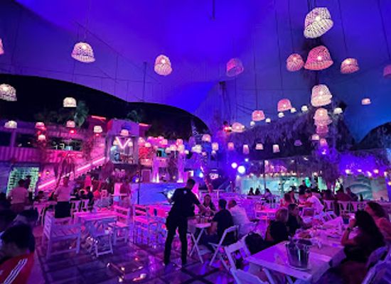 brazil/planalto-central/nightclub/venicce-beach