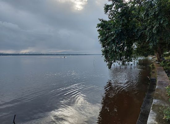 guyana/iwokrama-forest/nightclub/bartica