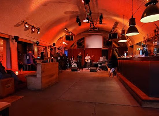 netherlands/rijnmond/nightclub/bird