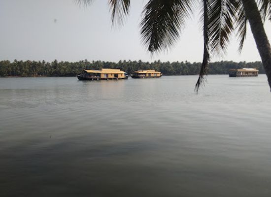 india/kerala/nightclub/beach-voice