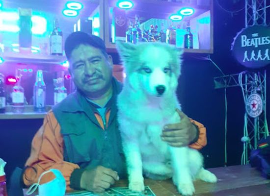 bolivia/yungas/nightclub/skyy-blue-karaoke-discoteca