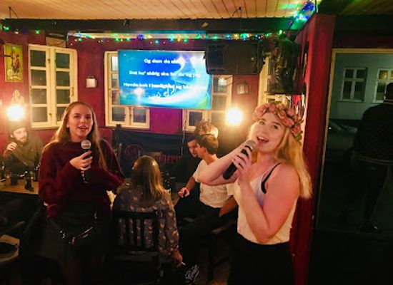denmark/sonderjylland/bar/old-danish-pub