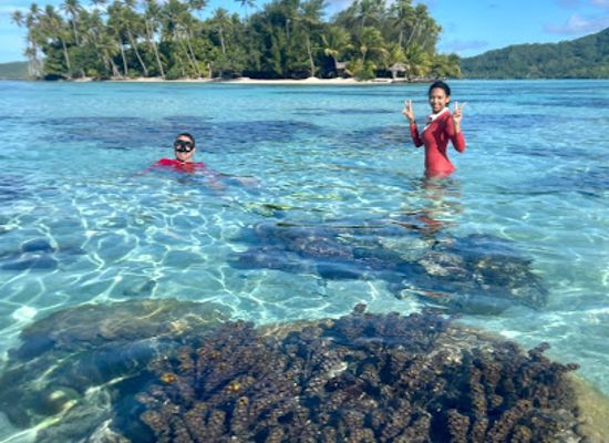french-polynesia/huahine/nightclub/huahine-secret-tours