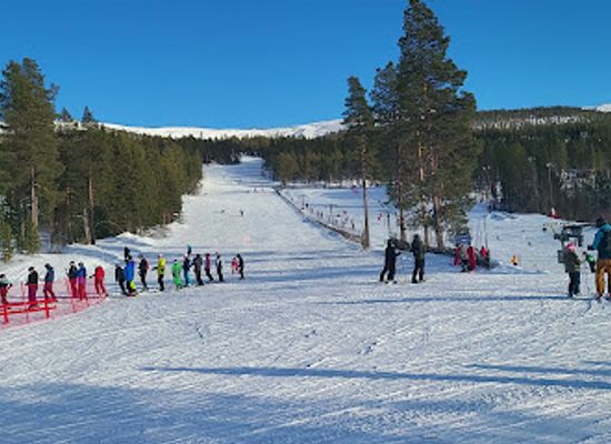 sweden/vemdalen/attraction/bjornrike