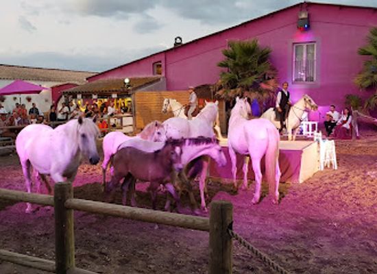 france/camargue/nightclub/cabaret-equestre-de-camargue