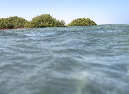 egypt/marsa-alam/nightclub/mangrove-cafe