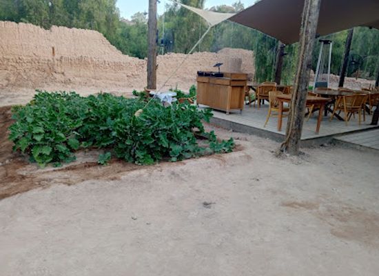 saudi-arabia/al-ula/nightclub/daimumah-amphitheater