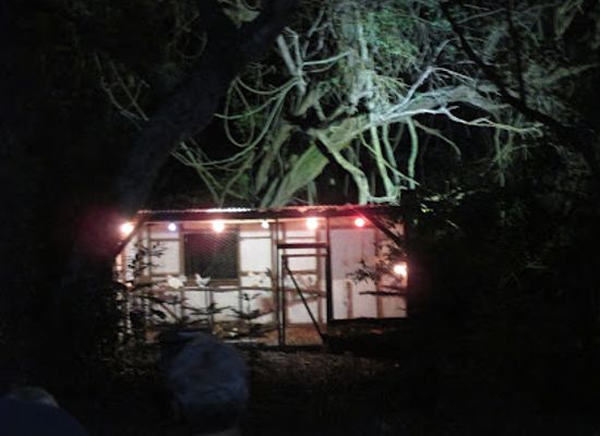 norfolk-island/middlegate/nightclub/wonderland-by-night