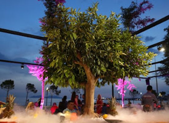 albania/vlore/nightclub/seasons-cocktail-bar