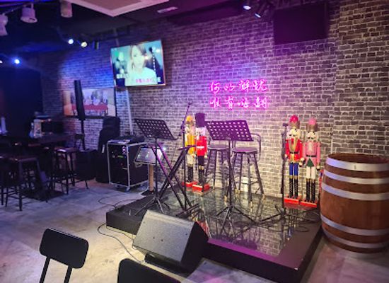 singapore/macritchie-reservoir/nightclub/havefun-karaoke-bistro-thomson-plaza