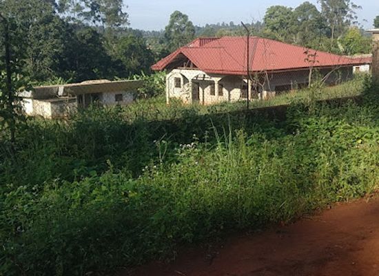 cameroon/west-region/nightclub/complexe-fotso
