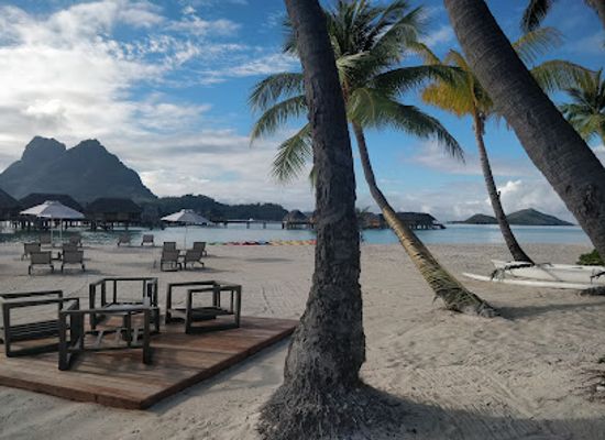 french-polynesia/leeward-islands/nightclub/manuia-bar