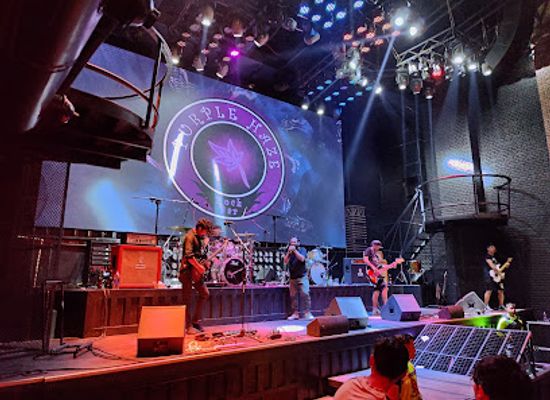 nepal/makalu-base-camp/nightclub/purple-haze-rock-bar