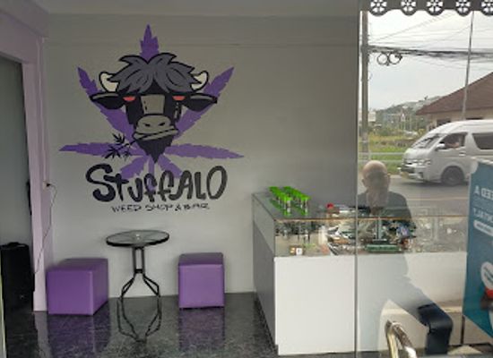 thailand/phuket/karon/nightclub/stuffalo