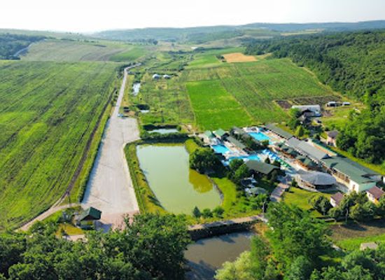 moldova/lapusna-county/nightclub/forest-club-odihna-si-agrement-in-republica-moldova