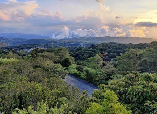 costa-rica/monteverde-cloud-forest/nightclub/night-walk-tour