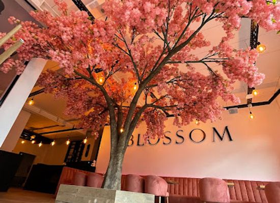belgium/genk/nightclub/blossom-lounge-genk