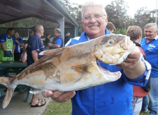 australia/jervis-bay/nightclub/club-callala