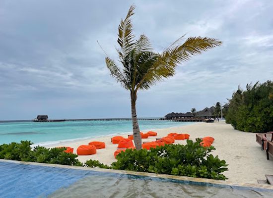 maldives/vaavu-atoll/nightclub/dhoni-bar