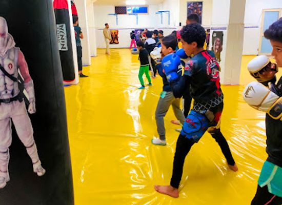 egypt/ismailia/nightclub/white-ninja-fight-club