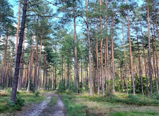 poland/kashubia/nightclub/kashubia-protected-landscape-area