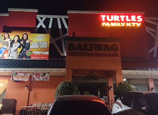 philippines/visayas/nightclub/turtles-family-ktv