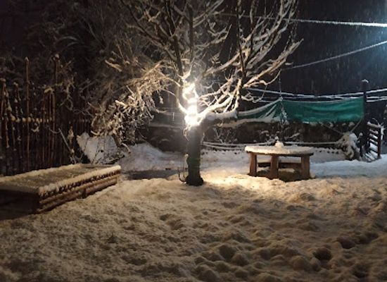 india/manali/nightclub/manali-club