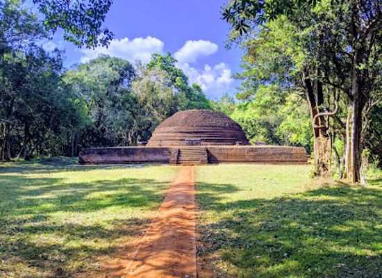 sri-lanka/dambulla/nightclub/one-more-night-hostel