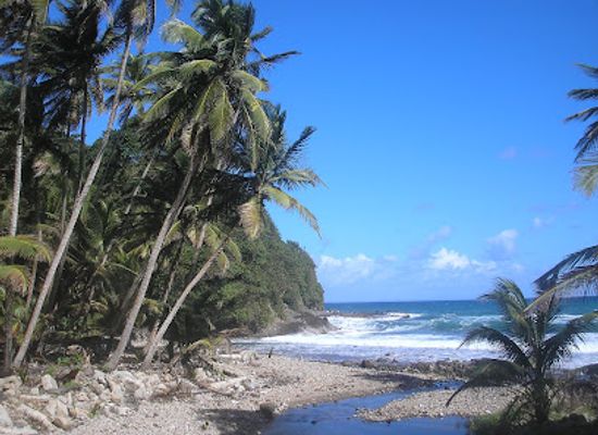 dominica/saint-andrew/nightclub/trevy-s-place