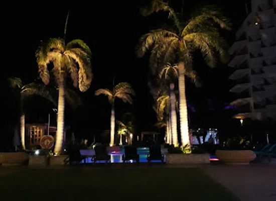 aruba/natural-pool/nightclub/h2oasis-adult-pool-bar