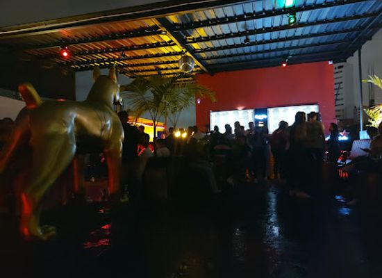 colombia/cali/nightclub/quickly-shots-granada
