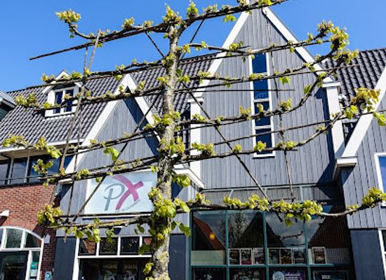 netherlands/volendam/nightclub/pop-en-cultuurhuis-px
