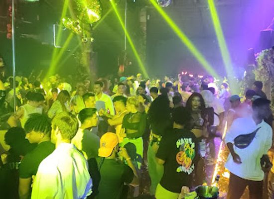 dominican-republic/punta-cana/nightclub/free-island-disco-nightlife-in-punta-cana-clubnight-in-punta-cana-bavaro