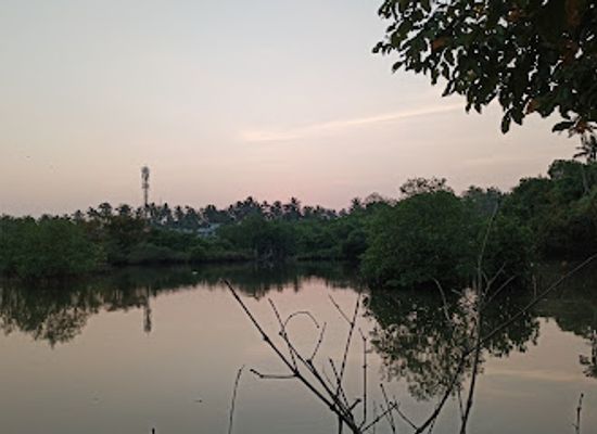 india/kochi/nightclub/briskers-club