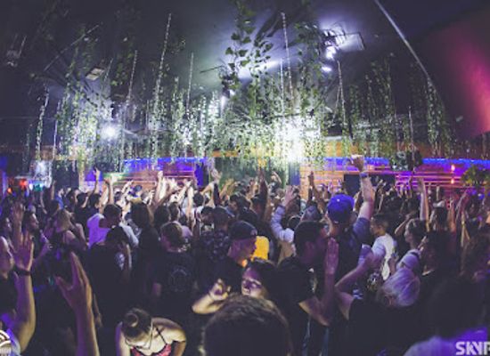 florida/miami-beach/nightclub/treehouse
