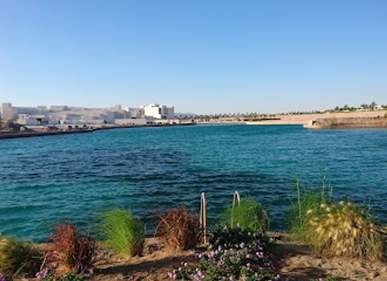jordan/aqaba-coast/nightclub/mama-gaia