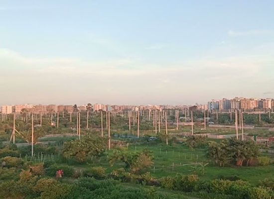 bangladesh/dhaka/nightclub/a-zone