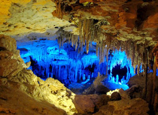 florida/florida-caverns-state-park/nightclub/florida-caverns-gift-shop-llc