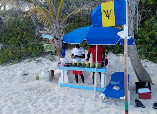 barbados/crane/nightclub/official-coconut-cocktails