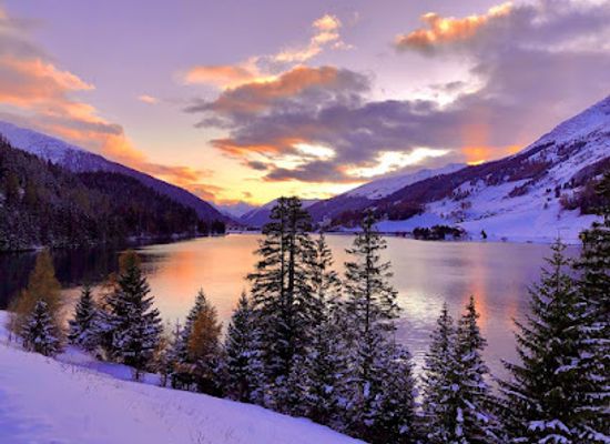 switzerland/klosters/nightclub/montana-bar-mahalo-gmbh