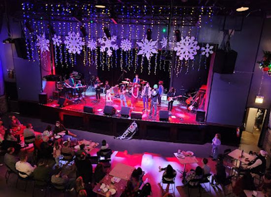 illinois/palatine/nightclub/durty-nellie-s-gastropub-concert-hub