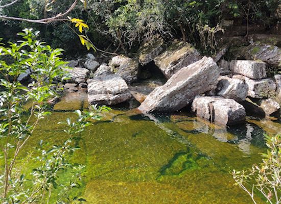 colombia/macarena-range/nightclub/cano-cristales-aventura-tours