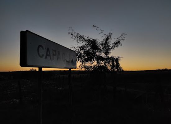 romania/moldova-area/nightclub/capaclia