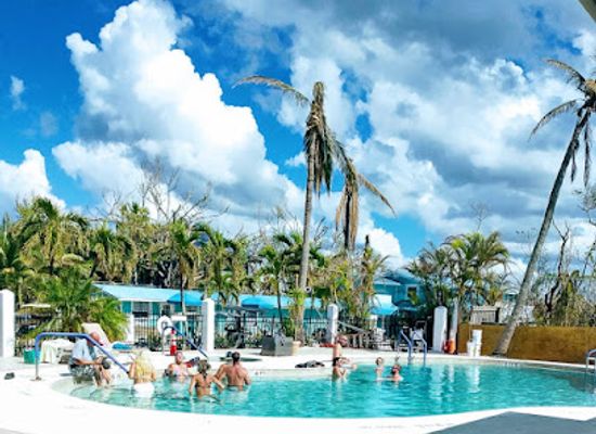 florida/sun-coast/nightclub/mango-s-bar-grill